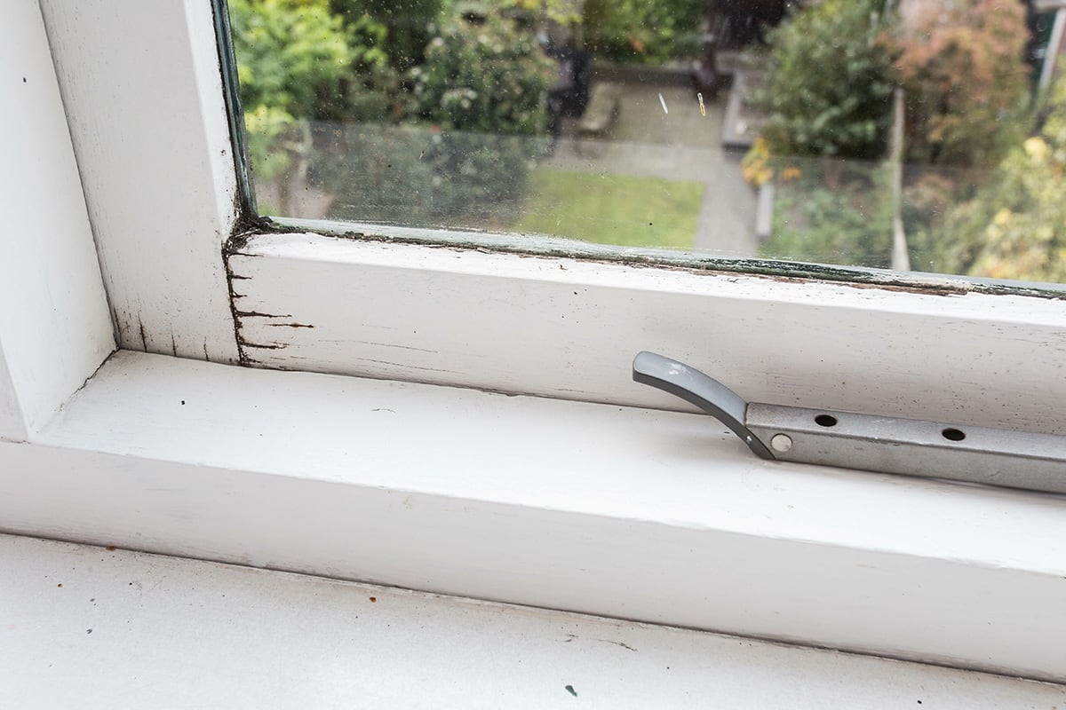 window frame rotting